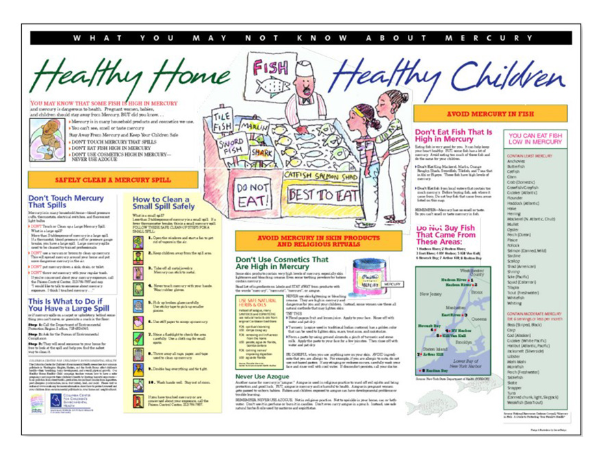 Healthy Home Healthy Children